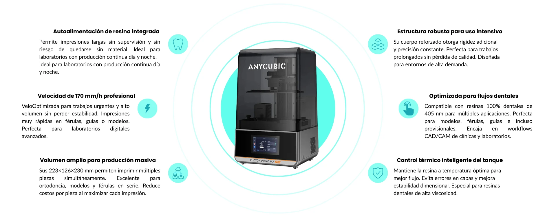 Características principales