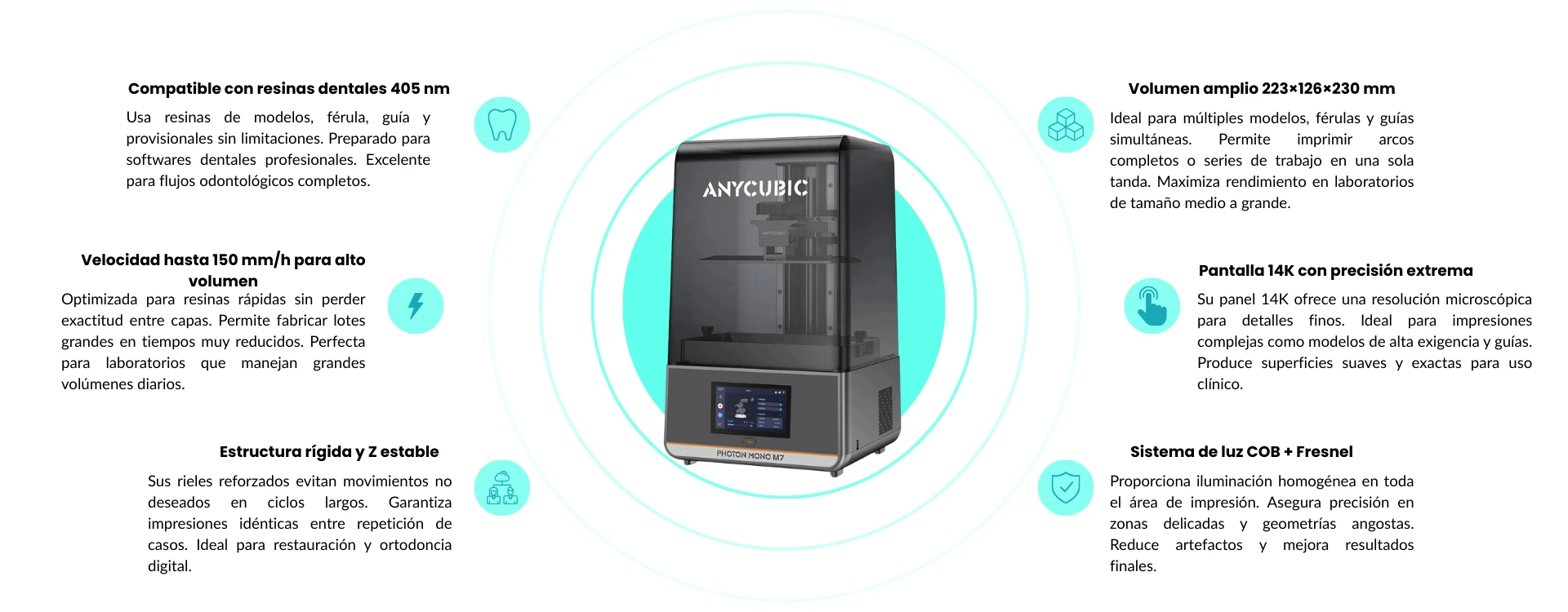 Características principales