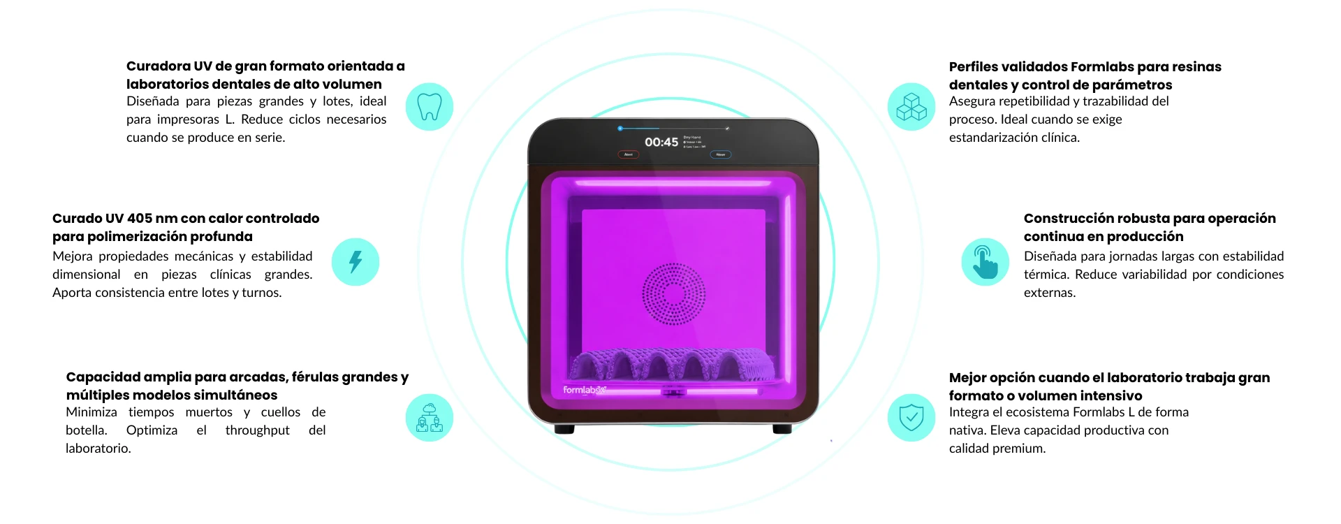 Características principales