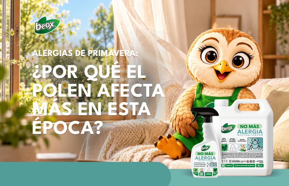 Lechuza Beox en un living luminoso con No Más Alergia: alergias de primavera y polen