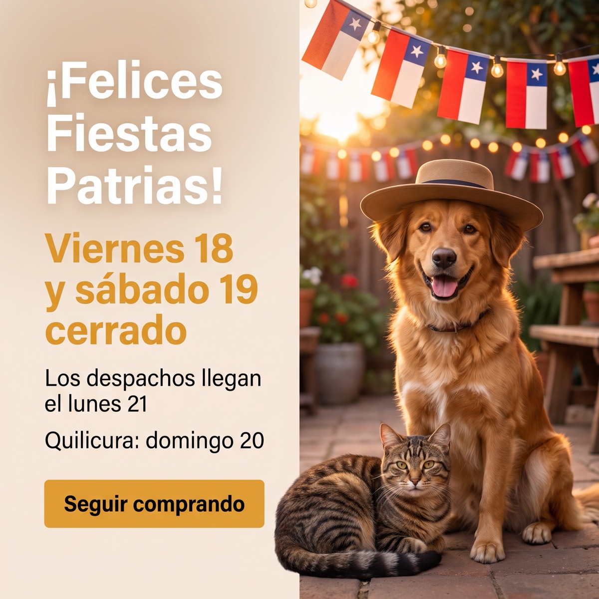 Felices Fiestas Patrias. Viernes 18 y sábado 19 cerrado. Los despachos llegan el lunes 21. Quilicura: domingo 20.