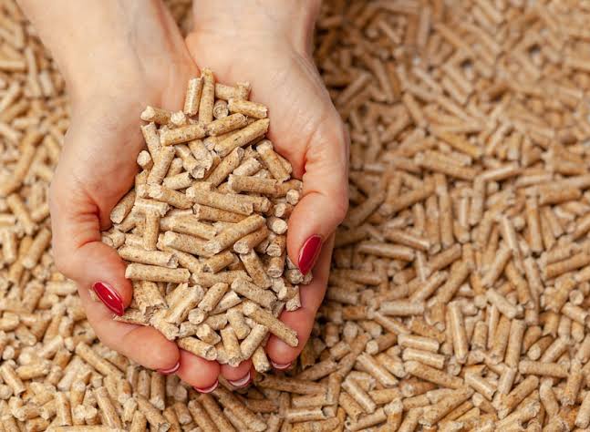Pellet y leña seca utilizados como combustible para estufas Bosca