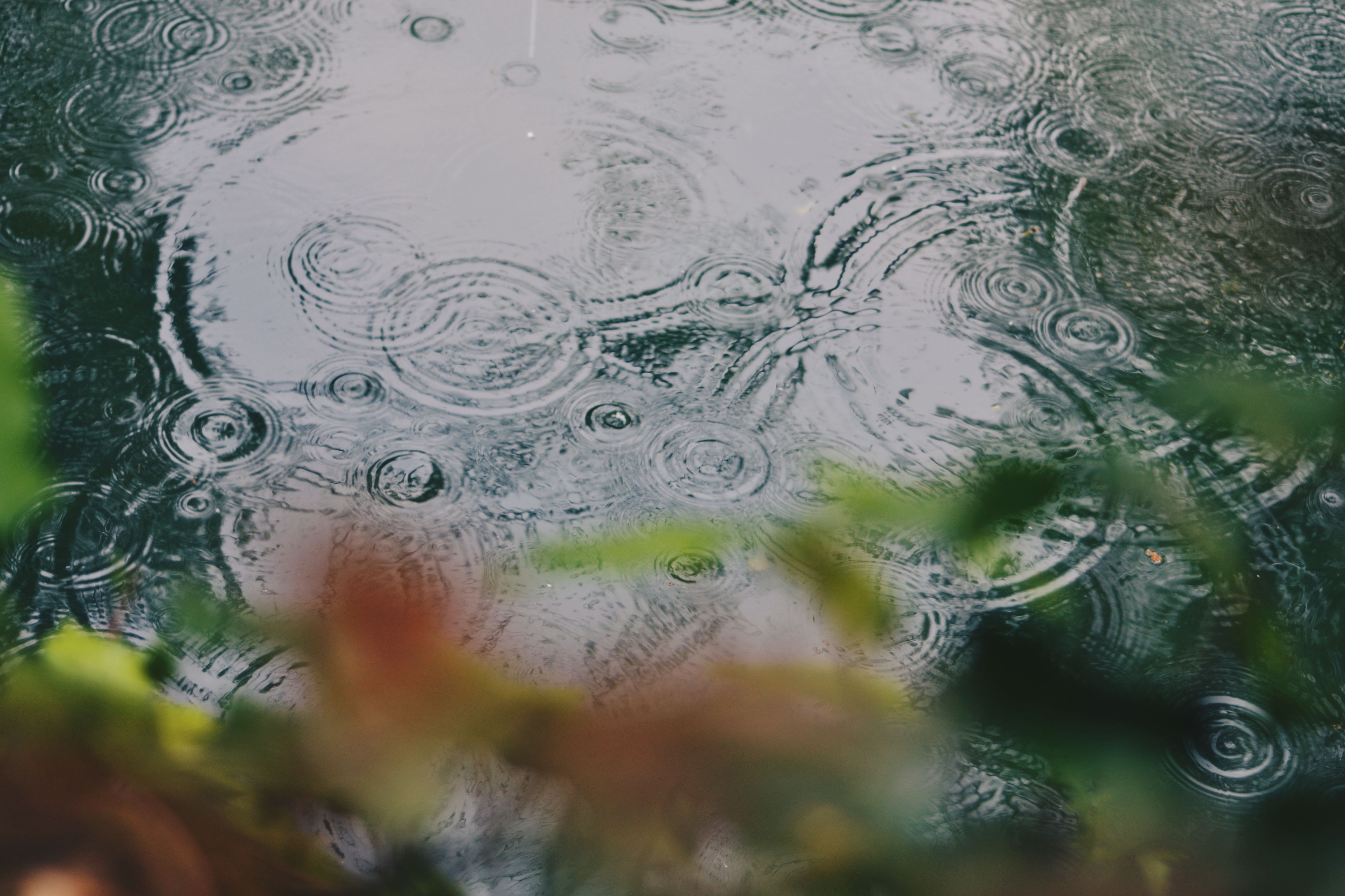 jardin  varios días de lluvia