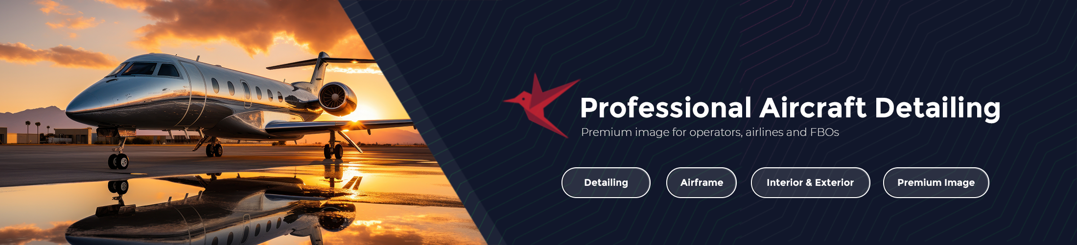 CARION · Professional Aircraft Detailing