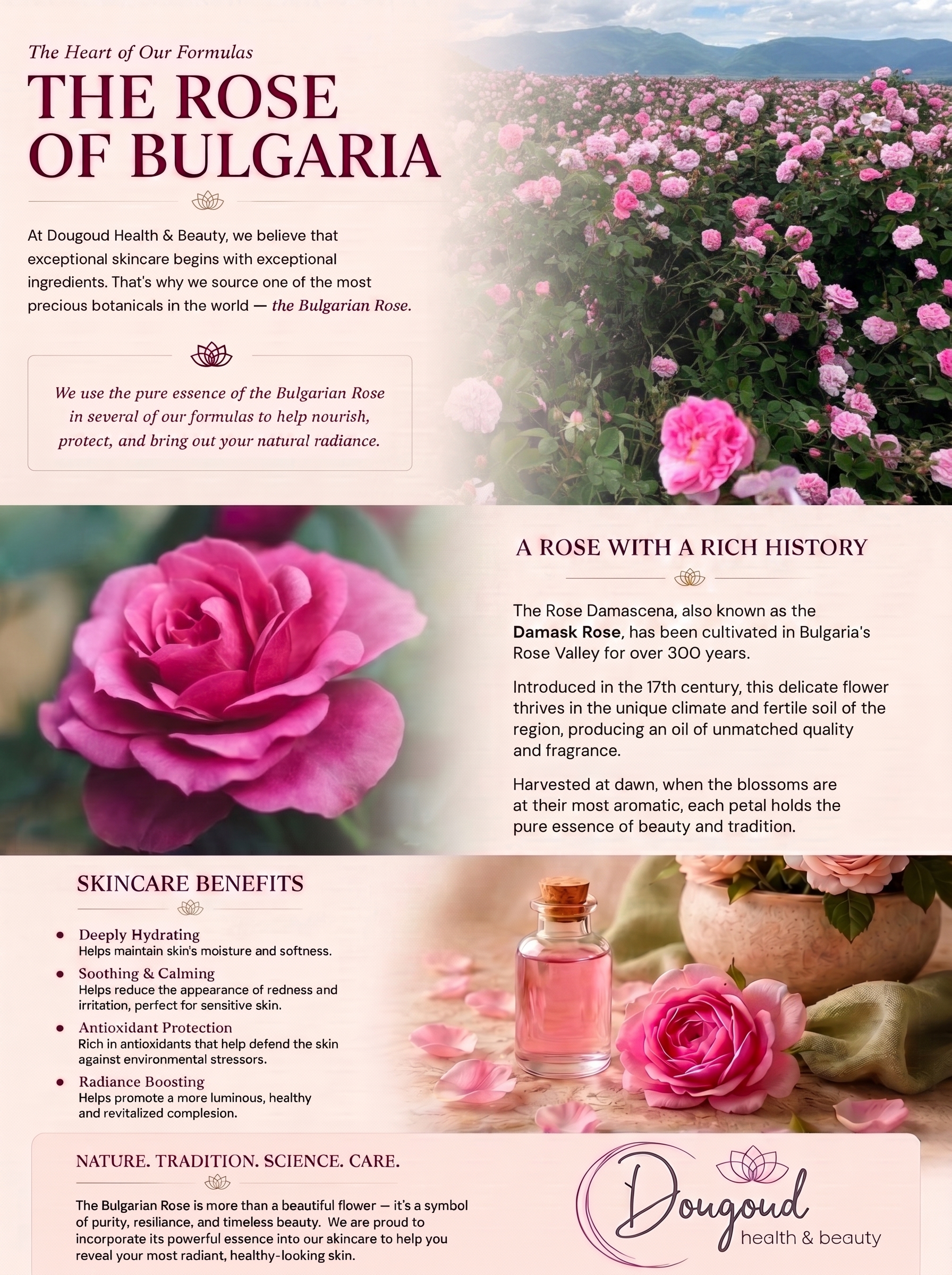The Rose of Bulgaria - English