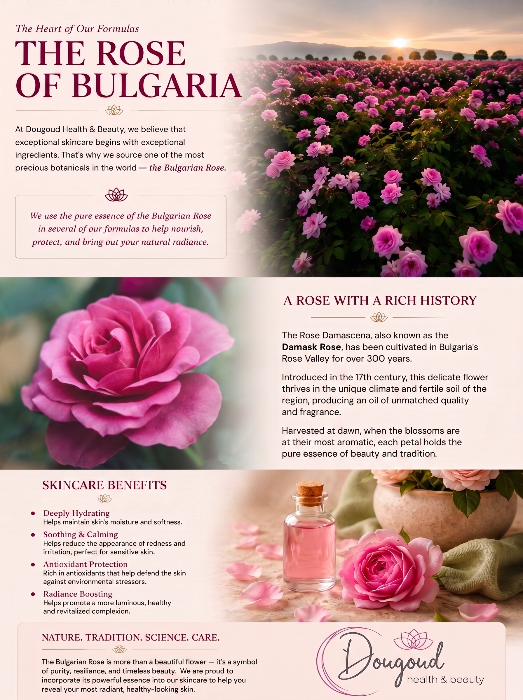 The Rose of Bulgaria