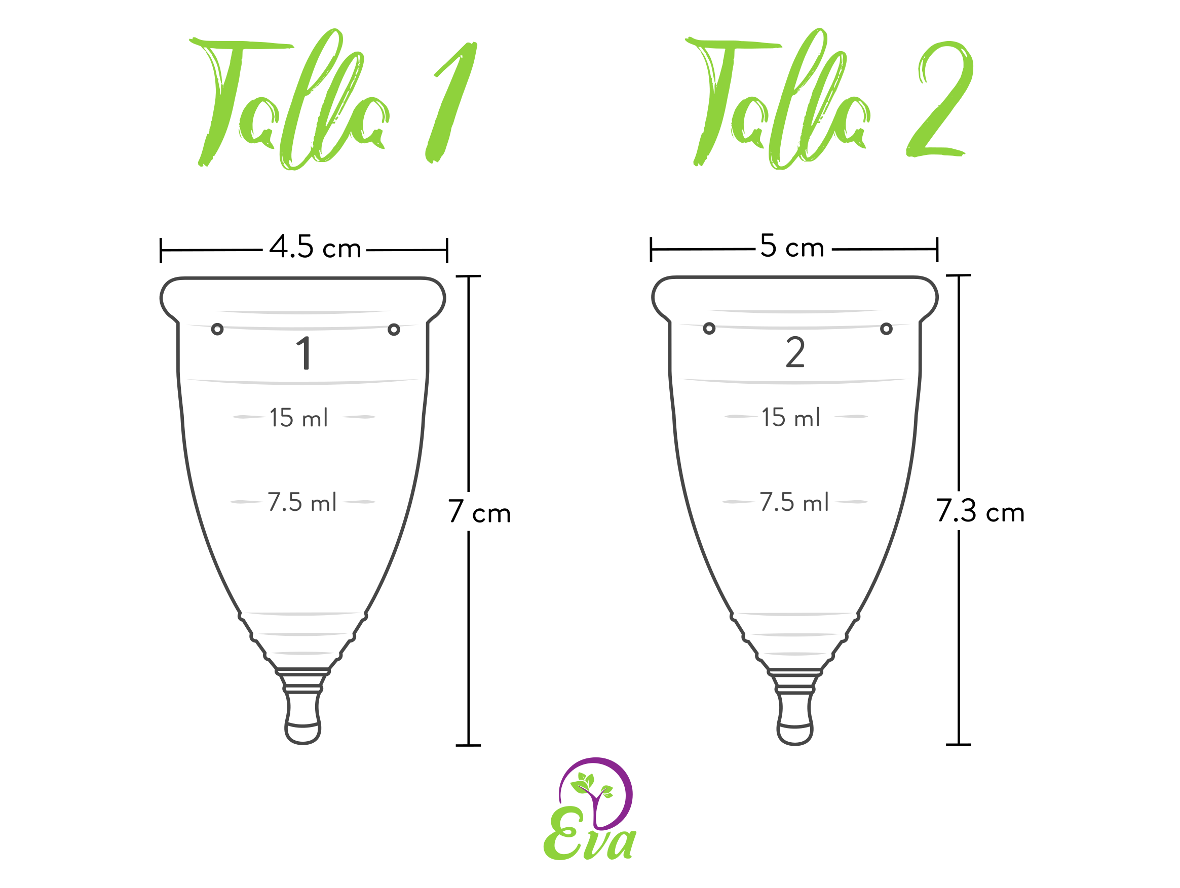 Dimensiones tallas copa menstrual Eva Dimensiones tallas copa menstrual Eva