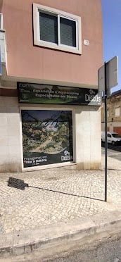A Casa dos Discus — loja parceira Hydra
