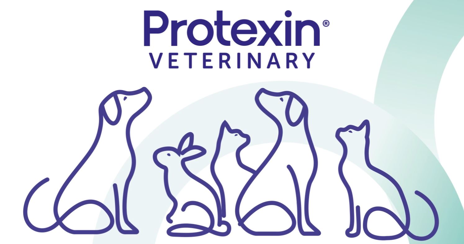Logotipo Protexin Veterinary con ilustraciones lineales de perros, gatos y conejos en estilo minimalista morado, ideal para salud y bienestar de mascotas en Reñaca, Viña del Mar.