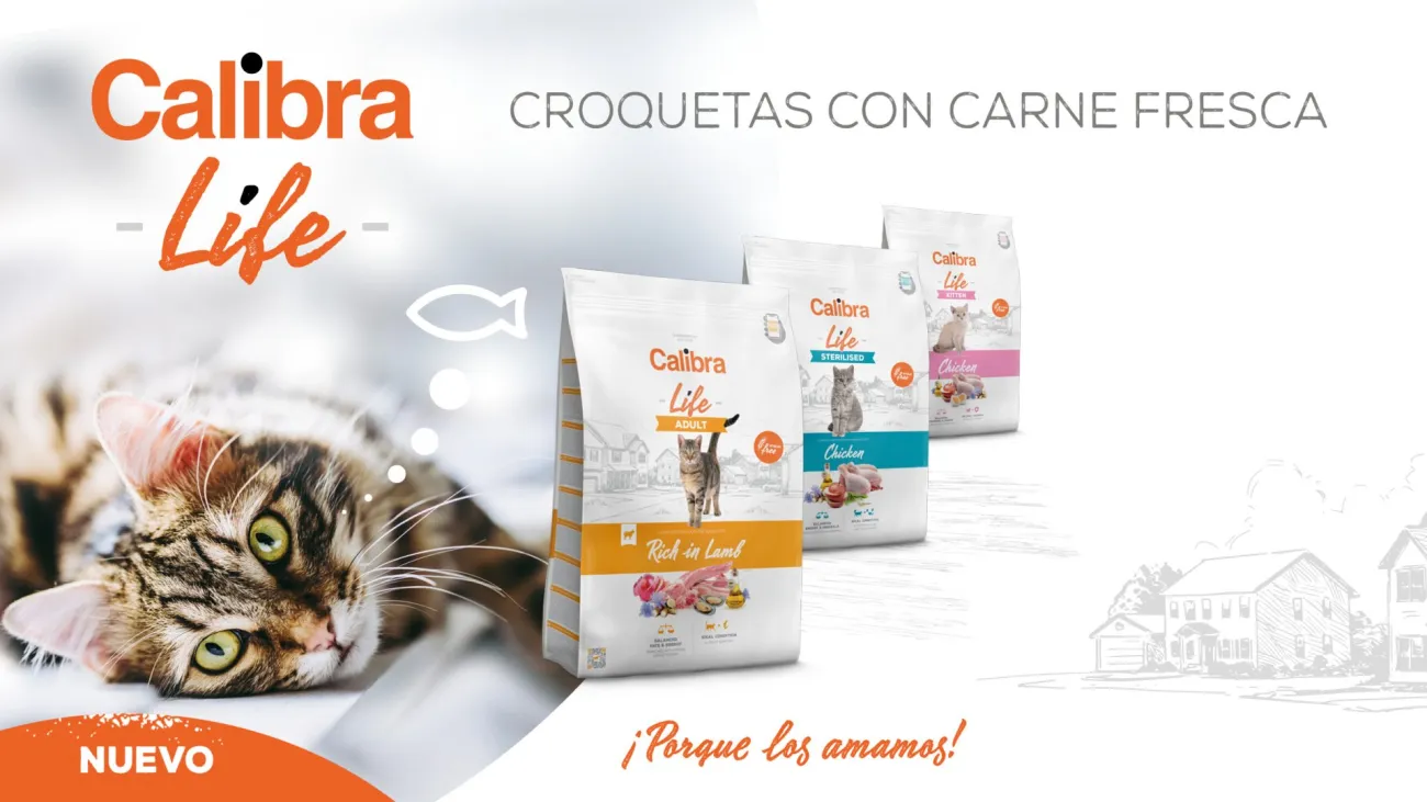 Calibra Life Gatos Cachorros en Infopet Reñaca