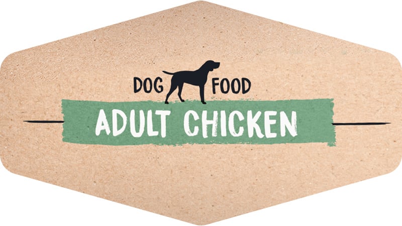 Ownat Grain Free Adult Chicken Pollo InfoPet Renaca, Vina del Mar , Santiago Chile