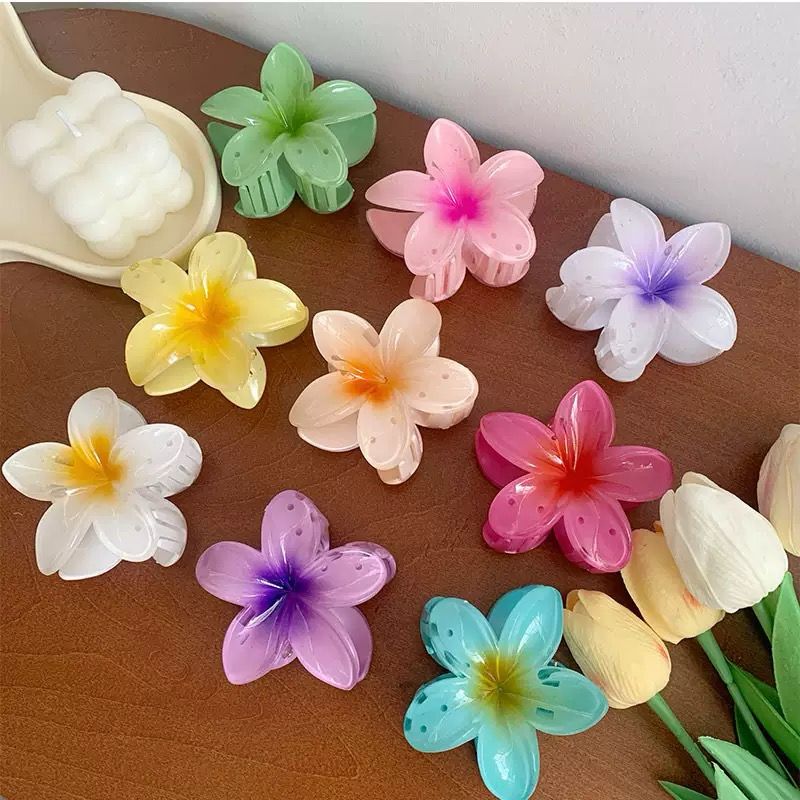 ACCESORIOS PARA EL CABELLO
