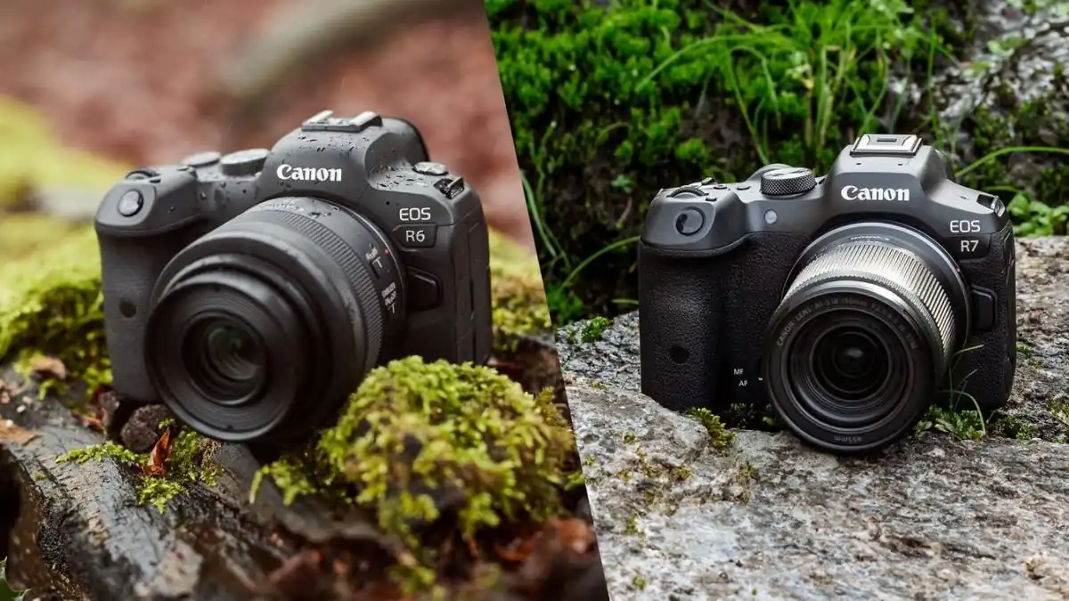 comparativa de camara full frame y camara  APS-C
