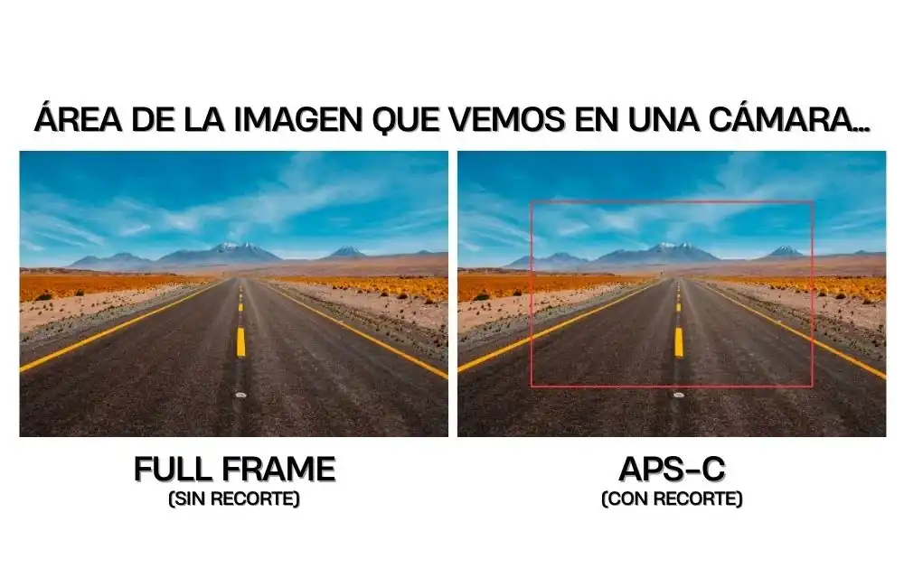 Comparación entre cámaras full frame y APS-C