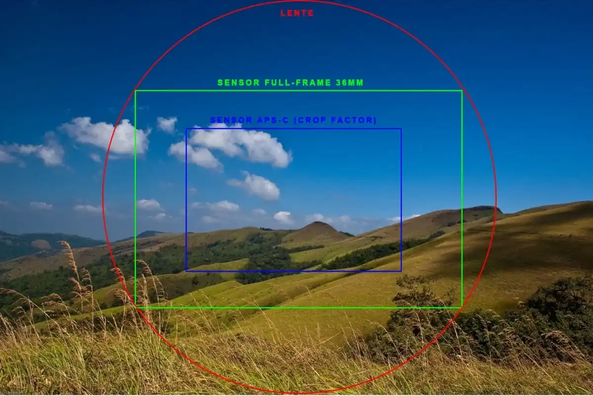 Comparación entre sensores full frame y APS-C, destacando el área de visión del sensor APS-C en cámaras.