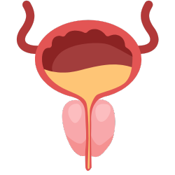Mejora la salud prostática
