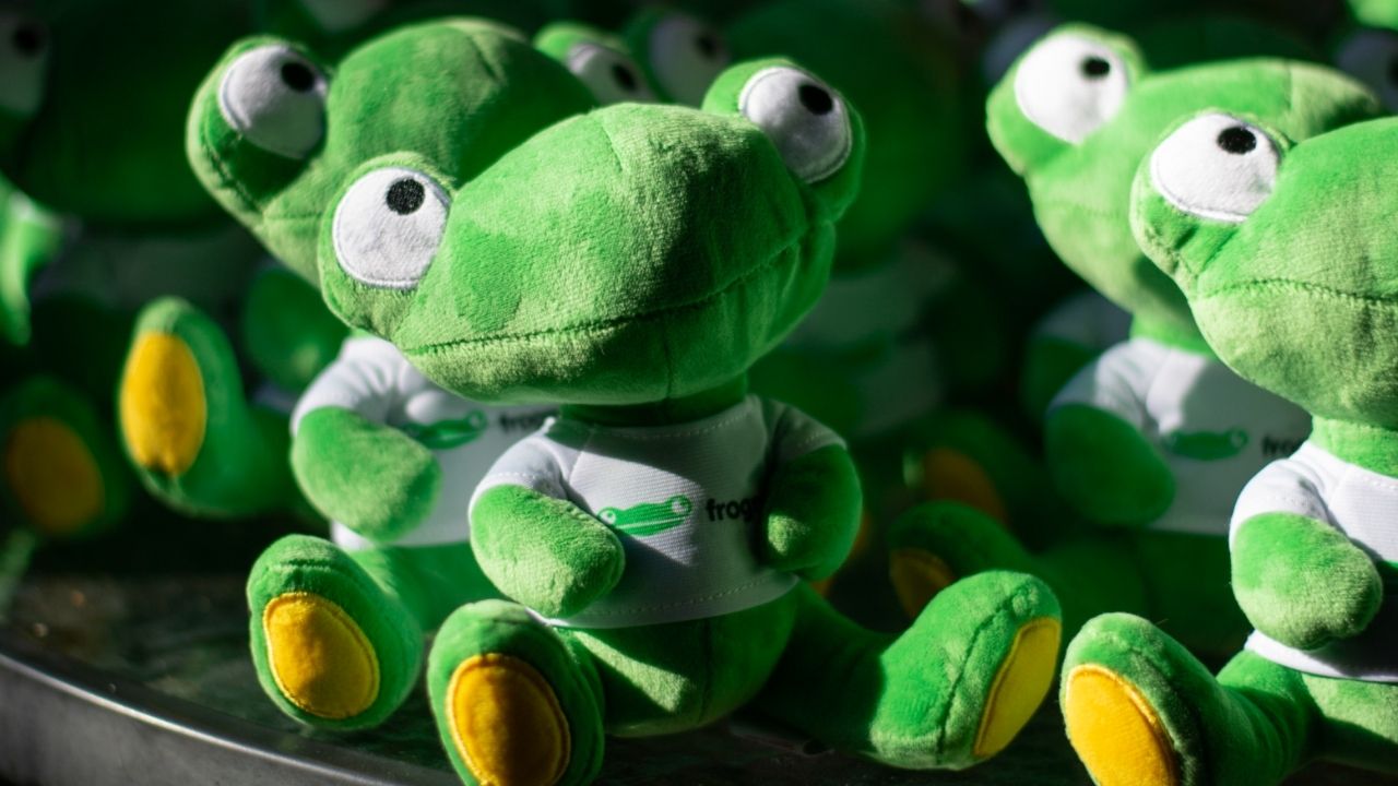 Proyecto Froggy - Peluches
