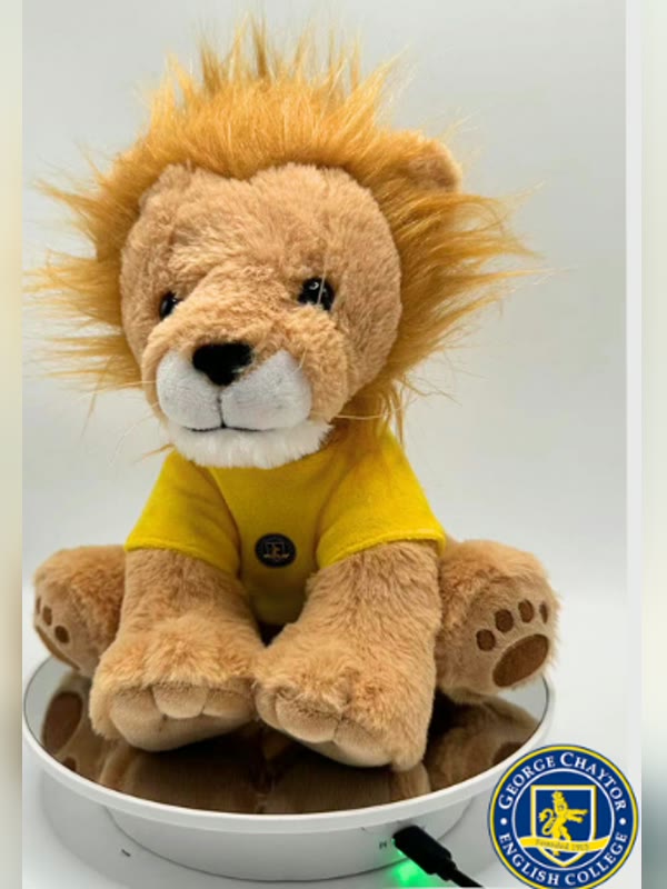 Peluche corporativo personalizado de George Chaytor English College ya producido