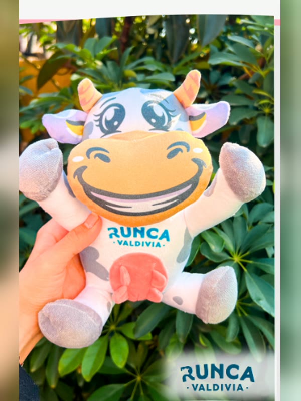 Peluche corporativo personalizado de Runca Valdivia ya producido