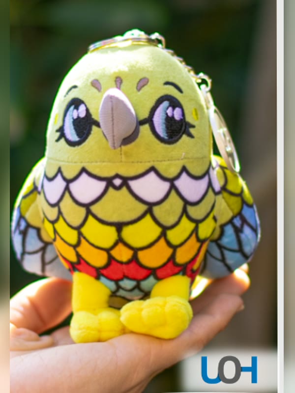 Peluche corporativo personalizado de Universidad de O'Higgins ya producido