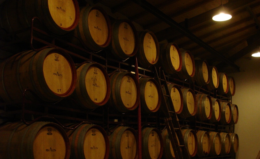 Oak barrels in the Pinalta cellar
