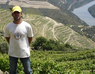 In the Pinalta vineyard, near the Douro River