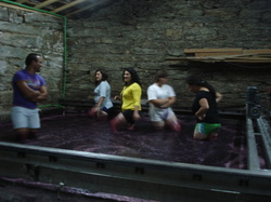 Foot treading in the traditional schist lagar