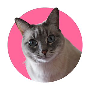 Tía Doris