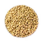 POROTO SOYA